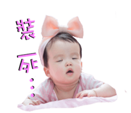 46425607