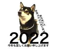464267902