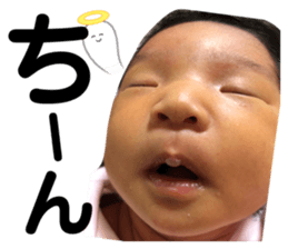 464352355