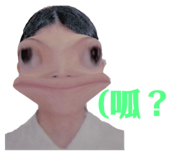 464353073
