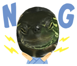 464359554