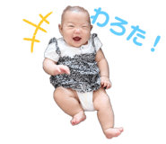 464361070
