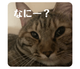 464378765