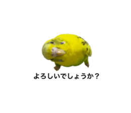 464387256