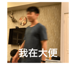 464502684