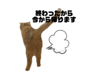 464540232