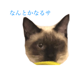 464550283