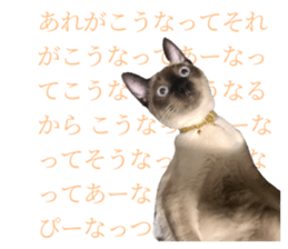 464550293
