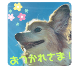 464555720