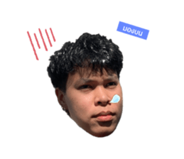 464575310