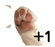 464614528