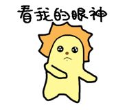 46462845