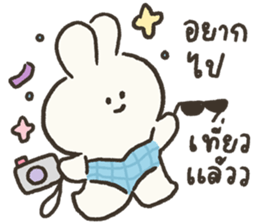 ลายที่ 23