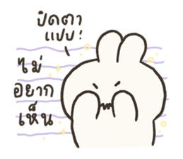 ลายที่ 31