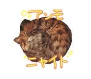 464908302