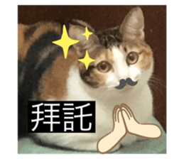 464908541