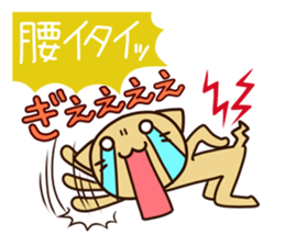 4649530