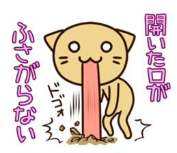 4649555
