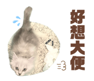 465085005