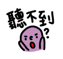 46509549