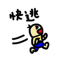 46509556