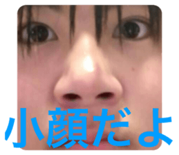 465130256