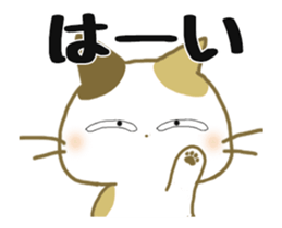 465139543