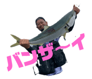 465161964