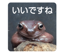 465166369