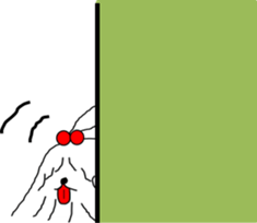 4653377