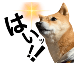 465428320
