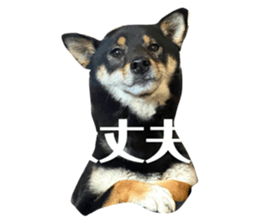 465545330