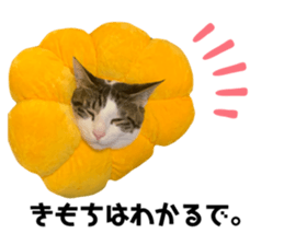 465583620