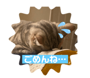 465586426
