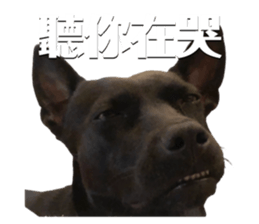 465626897