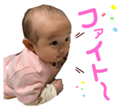 465634244