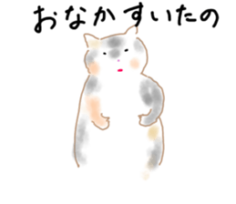 465666211