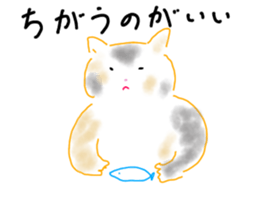 465666212