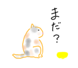 465666220