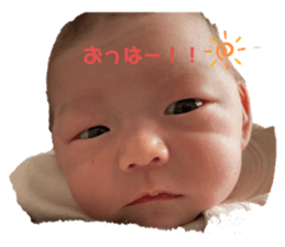 465671520