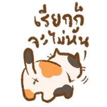 465674224
