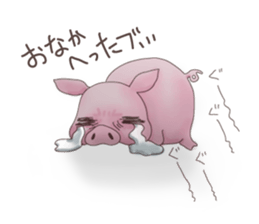 4656864
