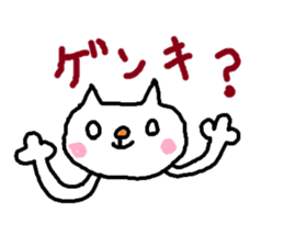 46569623