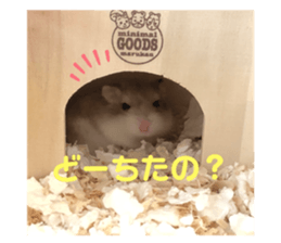 465732170