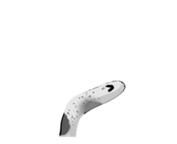 465871271