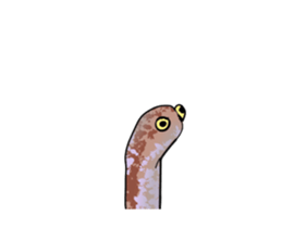 465871280