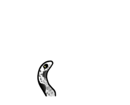 465871285