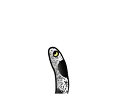 465871287