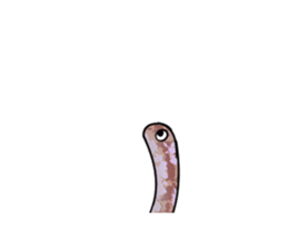 465871291