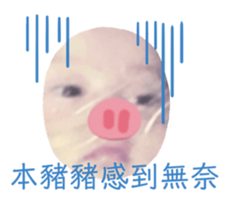 465925636